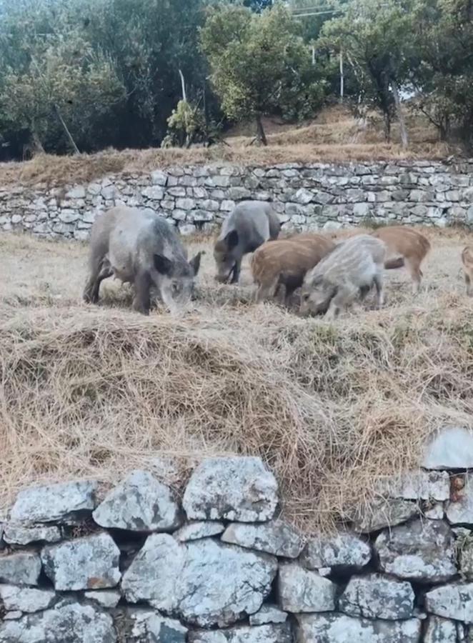 Locanda Agrogallo Карро Экстерьер фото